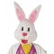 Deluxe Bunny Mascot Costume Adult