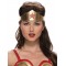 Wonder Woman Adult Costume