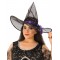 Midnight Witch Adult Costume