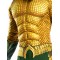 Adult Deluxe Aquaman Superhero Costume