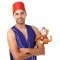 Aladdin Deluxe Adult Costume