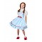 Dorothy Premium Child Costume Wizard of Oz
