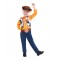 Woody Child Costume