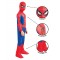 Spider-Man Deluxe Brand New Day Child Costume