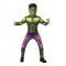 Hulk Child Costume