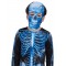 Skeleton Neon Blue Child Costume