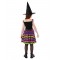 Barbie Witch Colourful Child Costume