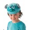 Sully Halloween Deluxe Child Costume