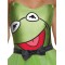 Kermit Womens Costume Dress