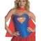 Supergirl Secret Wishes Women's Adult Costume