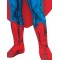 Superman Digital Print Costume