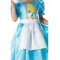 Alice In Wonderland Classic Child Costume