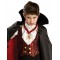 Transylvanian Vampire Halloween Child Costume