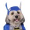 Batman Brave And Bold Pet Costume