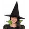 Wicked Witch Of The West Wizard of Oz Deluxe Child Costume
