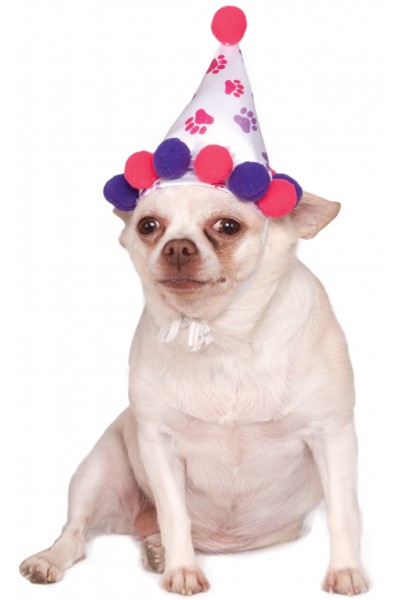 Paw Print Girl Pet Birthday Hat Accessory