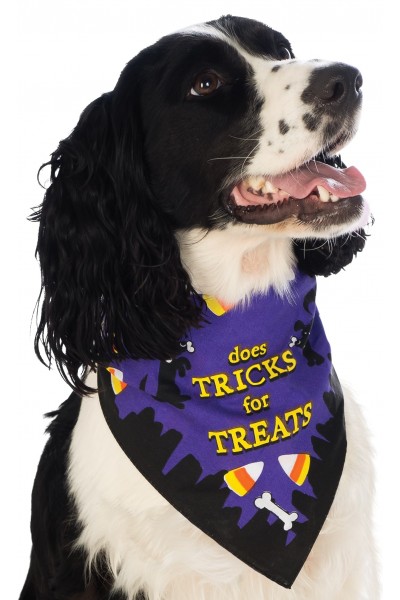 Pet Bandana Does Tricks For Treats Halloween