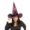 Adult Pink Witch Halloween Costume