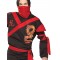 Adult Dragon Ninja Warrior Costume