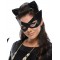 Adult Catwoman Collector Edition Costume
