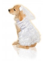 Bride Halloween Pet Costume