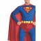 Superman Adult Costume
