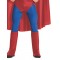Superman Adult Costume