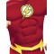 The Flash Mens Adult Costume