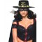 Zorro Secret Wishes Adult Costume