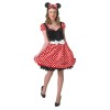 Minnie Mouse Sassy Adult Costume