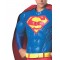 Superman Collector's Edition for Adult
