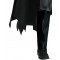 Batman Collectors Edition Adult Costume
