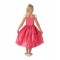 Sleeping Beauty Fairytales Child Costume