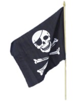 Pirate Flag Accessory