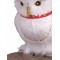 Hedwig Harry Potter The Owl Prop - Accessory