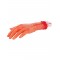 Severed Gory Hand Prop 