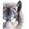 Wolf Animals Mask - Accessory