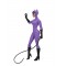 DC Comics Classic Toony Catwoman In Purple Suit 6in Scale Action Figure