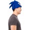 Sonic The Hedgehog Adult Hat