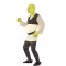 Shrek Adult Costume