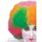 Clown Circus Multi Colour Neon Adult Wig - Accessory