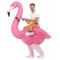 Inflatable Ride Em Flamingo Costume Hawaiian
