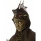 Swamp Boy Lizard Animals Child Costume