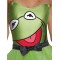 Kermit Womens Adult Dress The Muppets