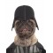 Darth Vader Star Wars Deluxe Pet Costume Darth Vader Star Wars Deluxe Pet Costume