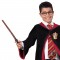 Harry Potter Wand