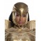 Wonder Woman 1984 Golden Armour Adult Costume