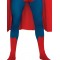 Superman 2nd Skin Adult Suit
