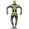 Skeleton Glow In The Dark Second Skin Adult Costume