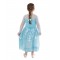 Elsa Frozen 1 Deluxe Child Costume